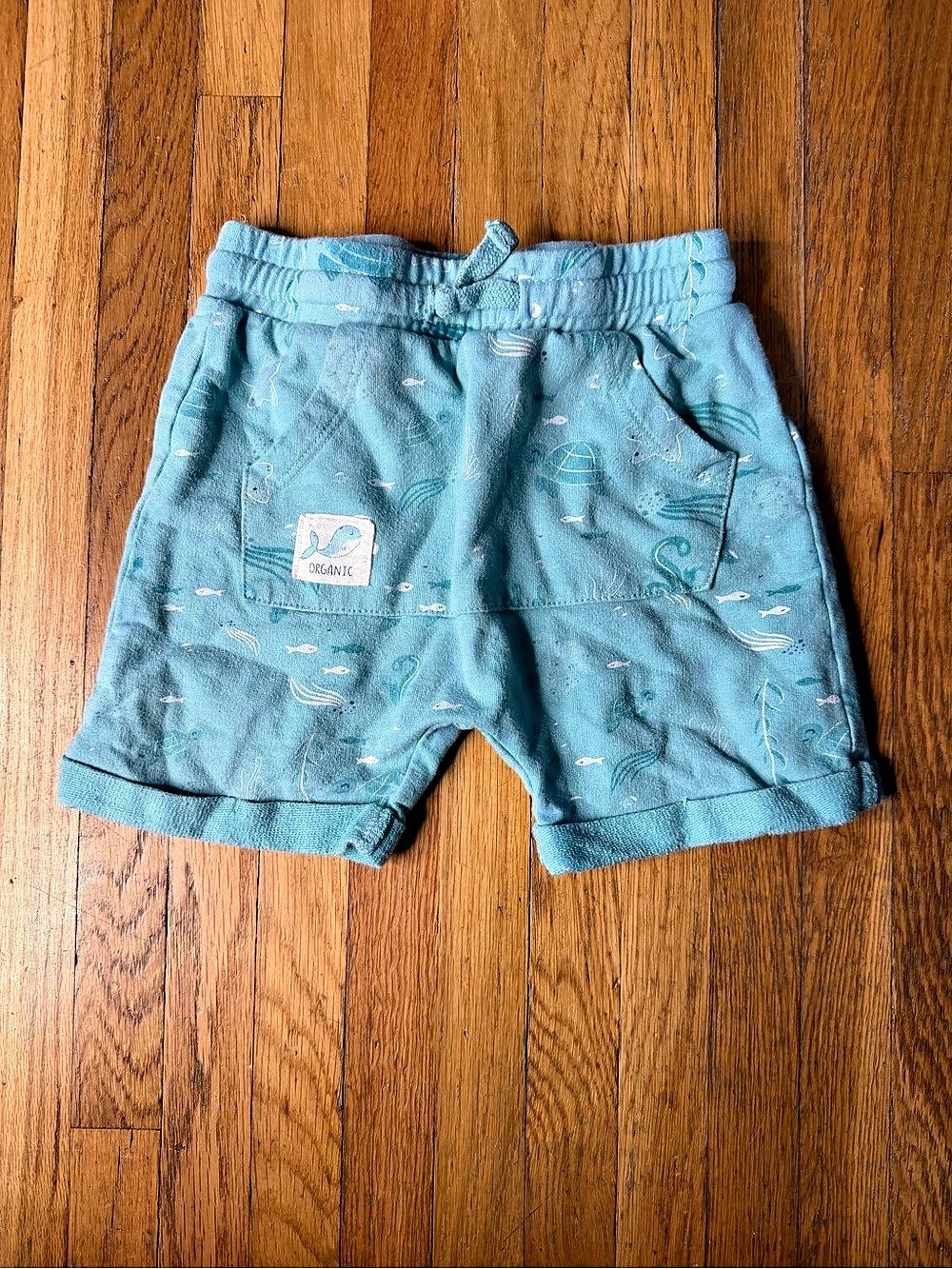 So Cute Organic Cotton Turtle Print Shorts Size 18-24M